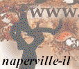 The Naperville, IL Site Home